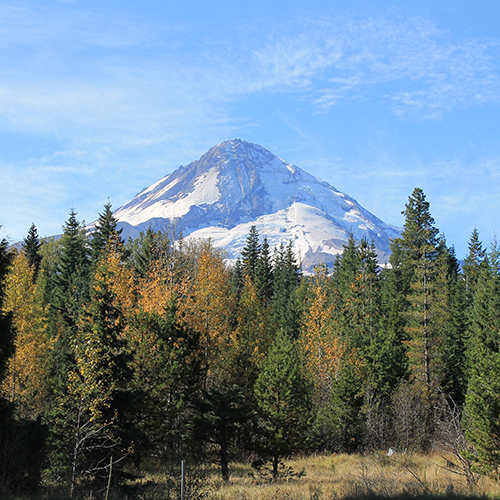 Mt. hood Outdoors