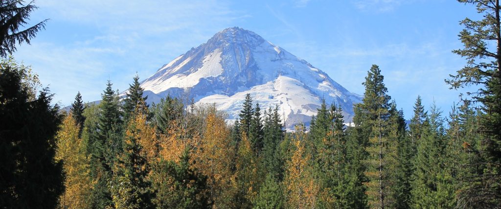 Mt. Hood Outdoors
