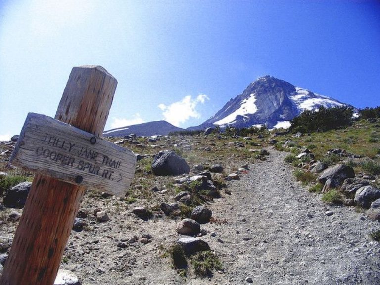 Tilly Jane Trail Mt. Hood Outdoors