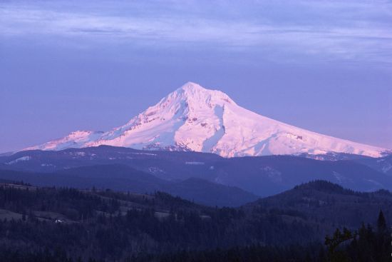 Mt. Hood