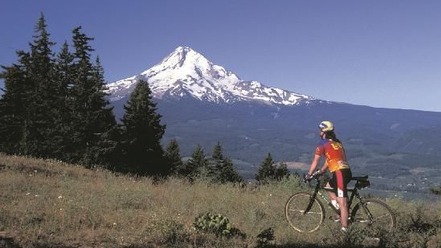 Mountain Biking