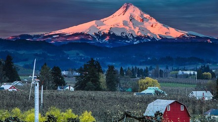 Mt. Hood