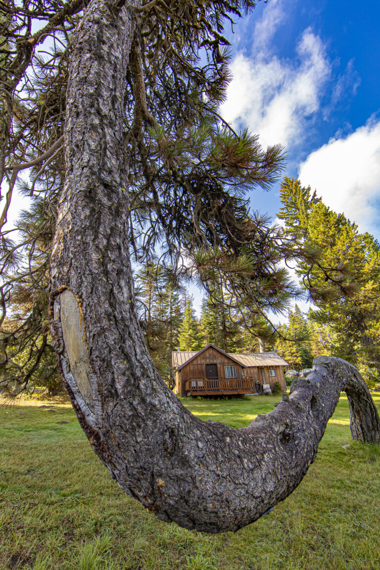 Spring and Summer at Cooper Spur- Photography by Richard Hallman