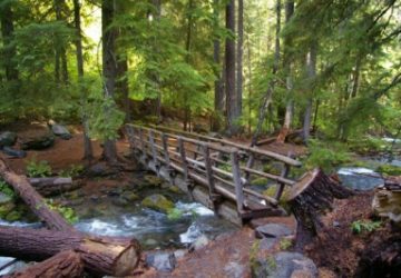 400px-ColdSpring1 River with Bridge Outdoors