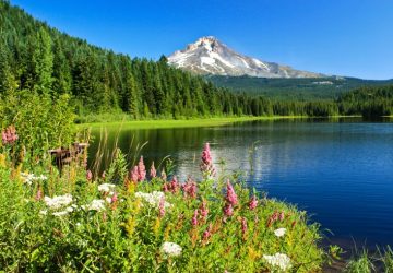 550187_10150961451217166_93356612165_13073305_1597135679_n1 Alpine lake with Mt. Hood in the background
