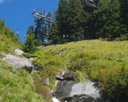 Mt. Hood Meadows Summer Scenic Chairlift Rides and Hikes